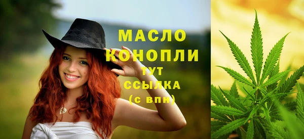 дживик Каменка