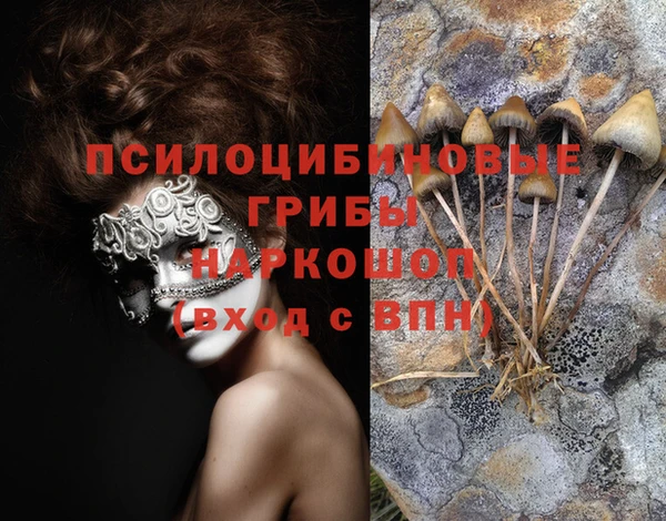 дживик Каменск-Шахтинский