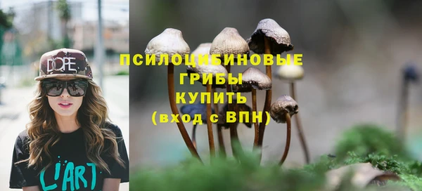 дживик Каменка