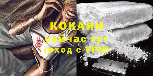 дживик Каменск-Шахтинский
