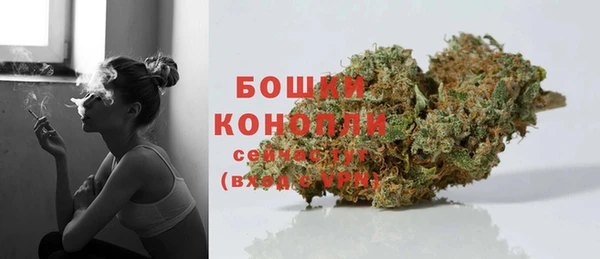 дживик Каменка