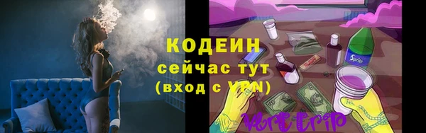 шишки Каменногорск