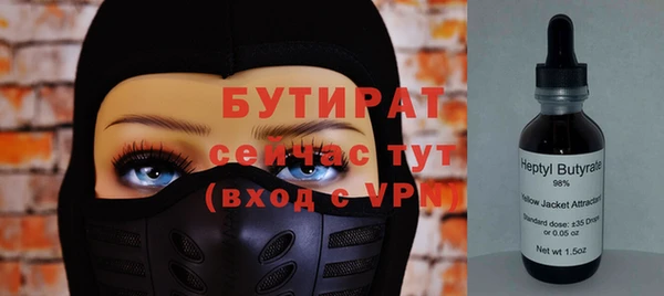 шишки Каменногорск