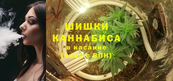 шишки Каменногорск