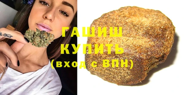 шишки Каменногорск