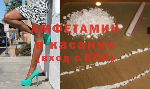 шишки Каменногорск