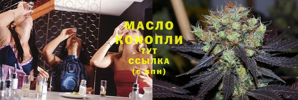 шишки Каменногорск