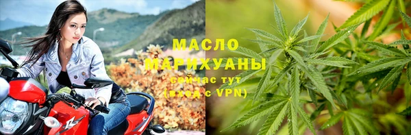 шишки Каменногорск