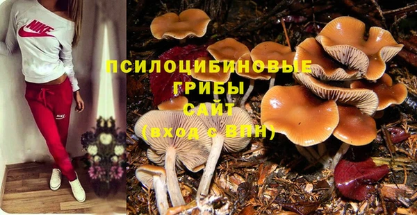 дживик Каменка