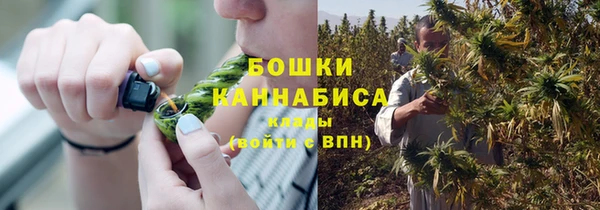 дживик Каменка