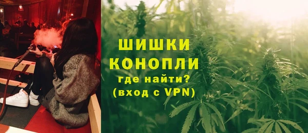 шишки Каменногорск