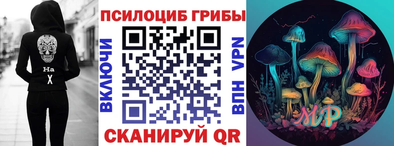 Галлюциногенные грибы Psilocybine cubensis  мега ССЫЛКА  Астрахань  что такое  