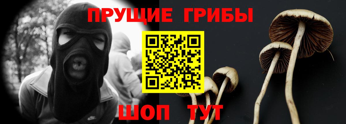 Галлюциногенные грибы Magic Shrooms  Астрахань  Псилоцибиновые грибы ЛСД 